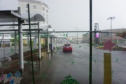 DSC02913