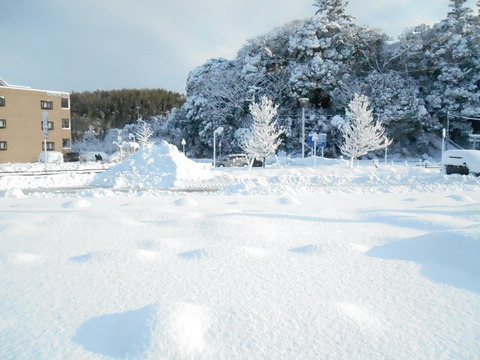 DSCN1238