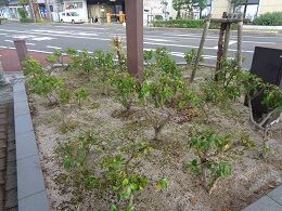 DSC02050