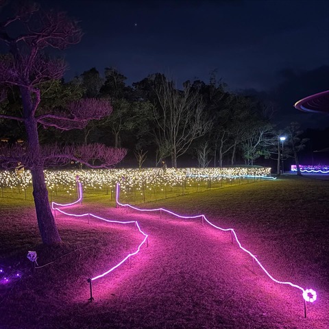 469746552_18048356135024165_6080625967364730166_n