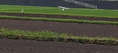 .trashed-1722117106-240628065021913