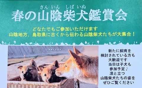 495603328_1172762337983616_6657111470464183059_n