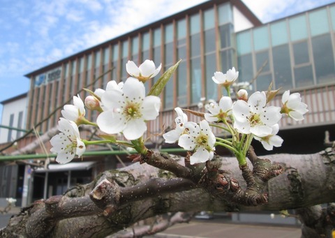 ４月８日