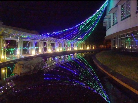 DSC02248