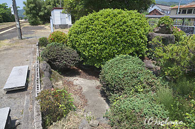 小城駅の枯池