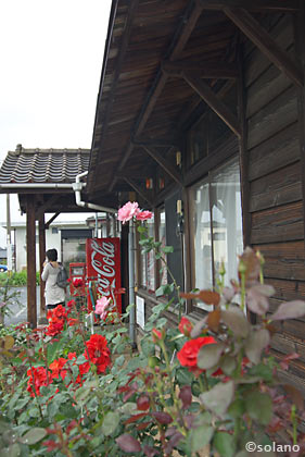 豊前松江駅、木造駅舎と薔薇