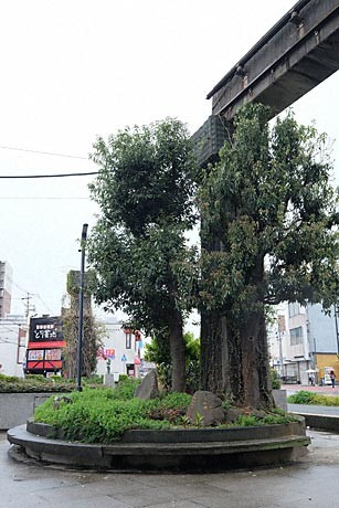 姫路モノレール・大将軍駅の軌道と橋脚跡