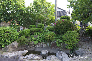 有田駅の枯池