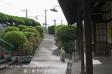 上臼杵駅ホーム側の植込み