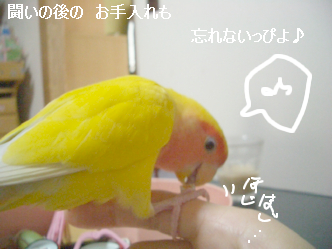 ���Ƥ���