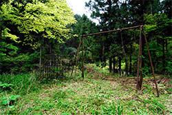 tama_59tubaki01