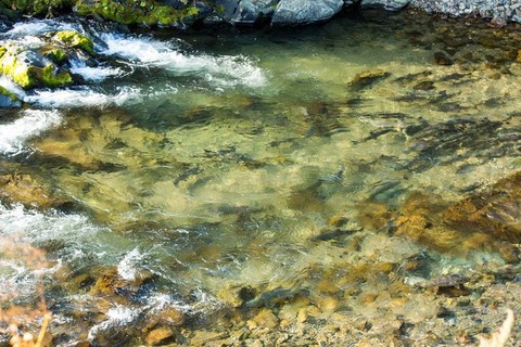 7A90C539780E49FDA17D0B9D8C8D349B_L