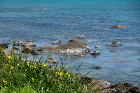 130523「小泊の海岸」石川県珠洲市三崎町019