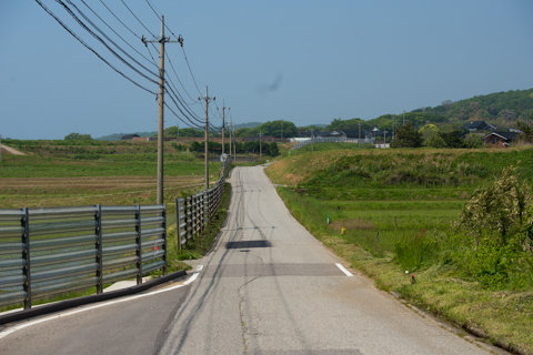130522「きじ」石川県羽咋郡志賀町周辺13