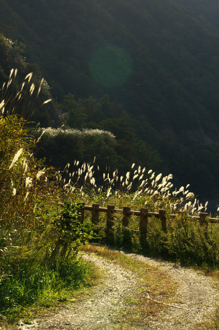 121020岐阜・桂湖(K5Ⅱs)169