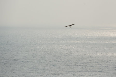 130522「千枚田周辺」石川県輪島市白米町038