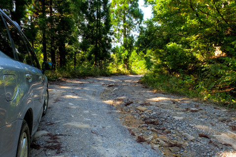 161019_05石川「河内谷分校と大杉谷林道」54-2