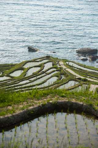 130522「千枚田周辺」石川県輪島市白米町096
