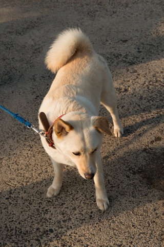 130522「千枚田周辺」石川県輪島市白米町251