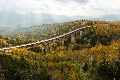 5A1E69E1DCD441D3A0B89E8484A2D652_LL