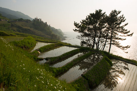 130522「千枚田周辺」石川県輪島市白米町149