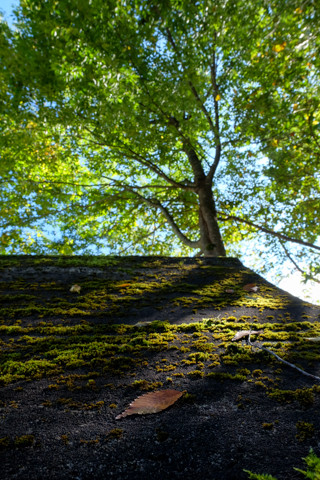 161019_03石川「谷トンネル＆言うない地蔵」22
