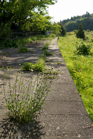 130523「「蛸島駅」石川県珠洲市024