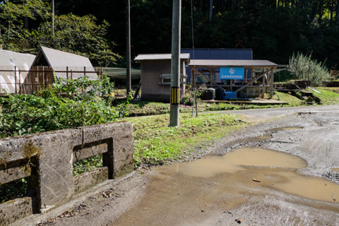 161019_04石川「白峰・堂ノ森」218
