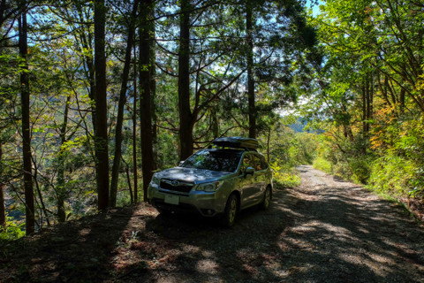 161019_05石川「河内谷分校と大杉谷林道」16