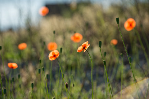 130523「禄剛崎」石川県珠洲市狼煙町189
