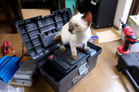 バッテリーbox23