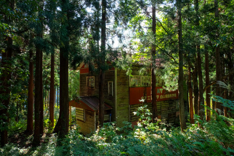 161019_05石川「河内谷分校と大杉谷林道」61