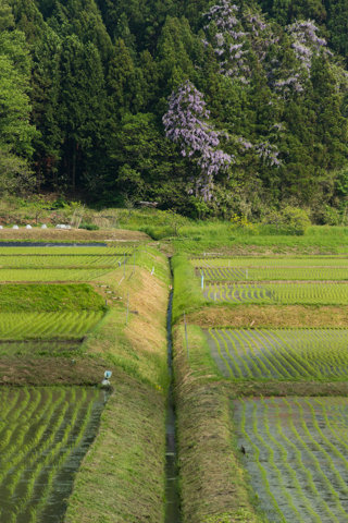 130522石川県輪島市「門前町田村」07