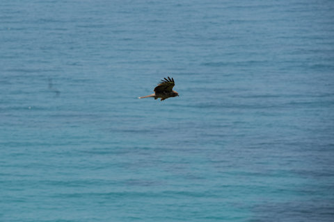 130522石川県羽咋郡志賀町富来牛下「巌門」周辺02