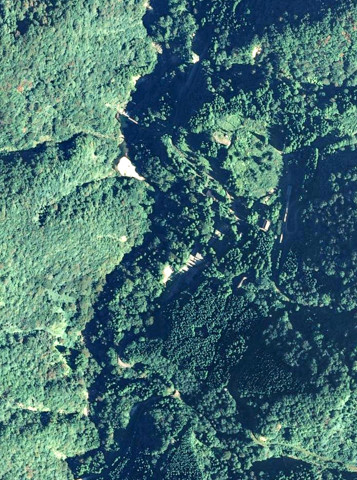 大勘場２００７