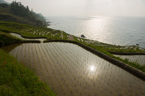 130522「千枚田周辺」石川県輪島市白米町035