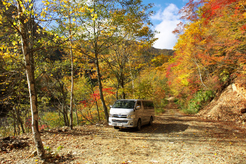 121024岐阜・六厩林道の紅葉528