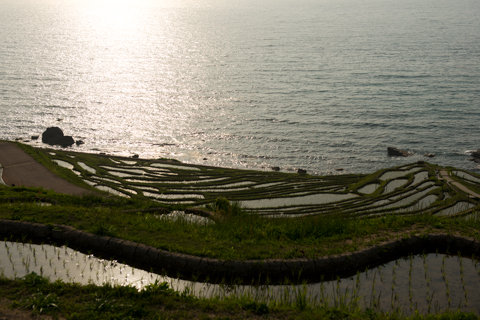 130522「千枚田周辺」石川県輪島市白米町100