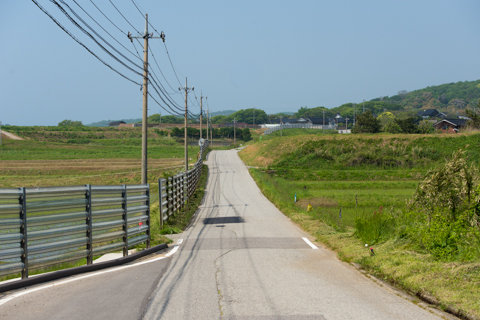 130522「きじ」石川県羽咋郡志賀町周辺13