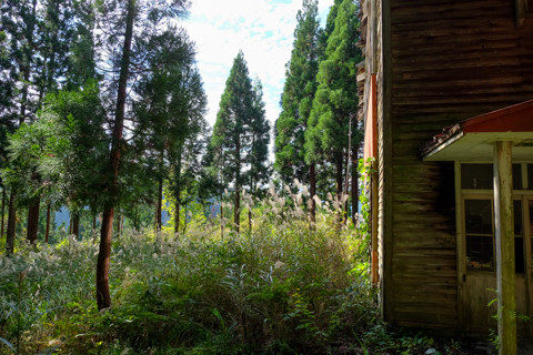 161019_05石川「河内谷分校と大杉谷林道」115