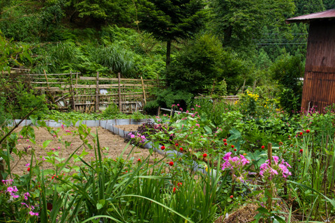 050811今津『途中谷39
