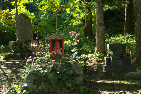 121020岐阜・加須良(D800)004_1