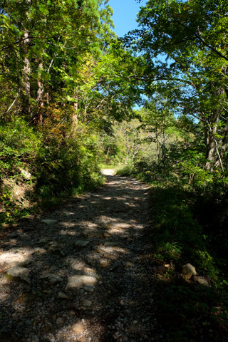 161019_05石川「河内谷分校と大杉谷林道」19