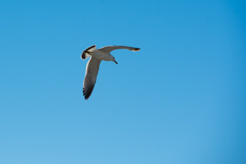 130523「禄剛崎」石川県珠洲市狼煙町173