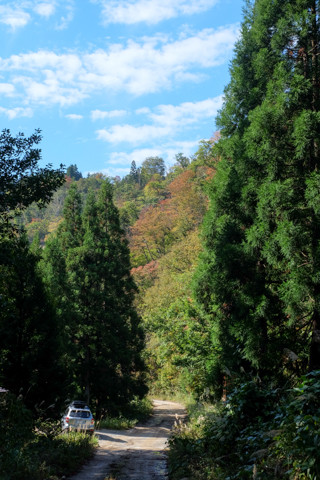 161019_05石川「河内谷分校と大杉谷林道」49