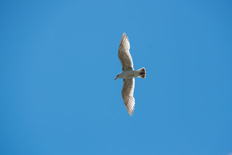 130523「みさき小学校前の海岸」石川県珠洲市三崎町25
