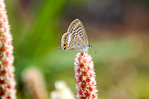 161019_06石川「白峰温泉スキー場への道」84