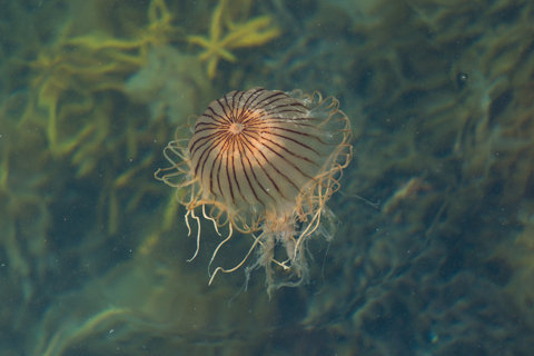 130522石川県羽咋郡「福浦港」032