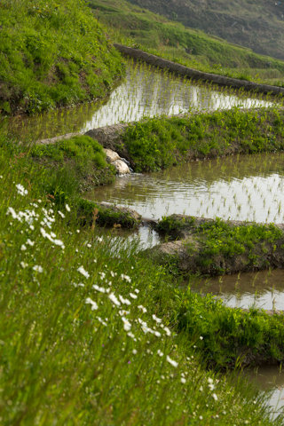 130522「千枚田周辺」石川県輪島市白米町025