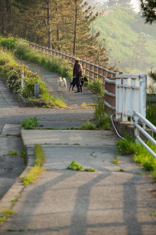 130522「千枚田周辺」石川県輪島市白米町254